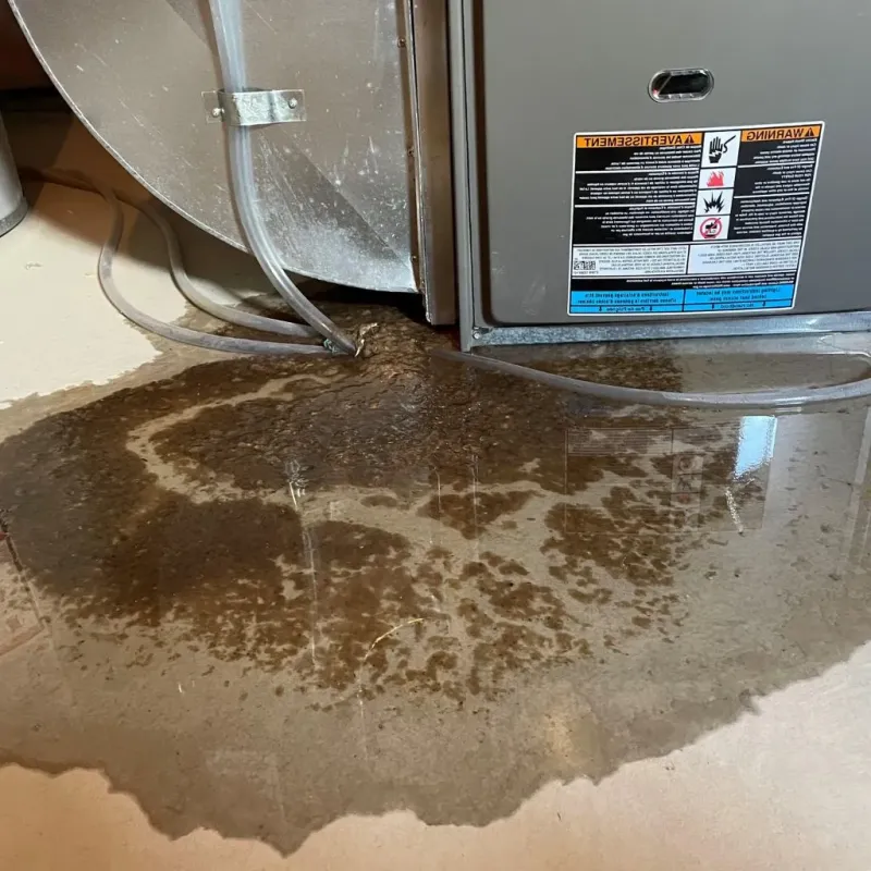 Pipe Burst and Leak Restoration in Rosedale, MD